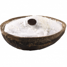 Кокосовое мороженое в плоде кокоса Michielan Италия, 85 гр